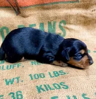 processed/7091d357-0f46-4cb9-bff5-05677d82e510/listing/a9197407-0fea-4c0f-aa1d-e78feb340e51/6bc6d242-ba6d-4a38-8a6e-066d44084aef