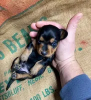 processed/7091d357-0f46-4cb9-bff5-05677d82e510/listing/a9197407-0fea-4c0f-aa1d-e78feb340e51/82fff76e-51be-4e0e-81f5-19a4c9c40756