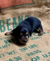 processed/7091d357-0f46-4cb9-bff5-05677d82e510/listing/a9197407-0fea-4c0f-aa1d-e78feb340e51/87778652-9082-4582-8c62-879b5ef5829f