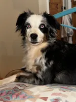 processed/70971c8a-e264-4474-a4c5-b5e36f3b150d/facility/1b2e984b-325a-4cfa-88b7-ec554b95b2a9