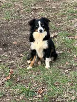 processed/70971c8a-e264-4474-a4c5-b5e36f3b150d/facility/27df8280-c8db-44d1-9908-443c34958f32