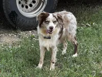 processed/70971c8a-e264-4474-a4c5-b5e36f3b150d/facility/3aae8aa3-c12e-4c5a-bbf9-aaec81367bda