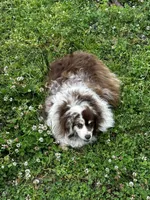 processed/70971c8a-e264-4474-a4c5-b5e36f3b150d/facility/56dd0c31-89ce-437e-aa59-0a62912bbcb0