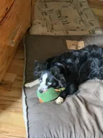 processed/70971c8a-e264-4474-a4c5-b5e36f3b150d/facility/b5526ad6-e897-4138-b98a-72bd821f2a9d