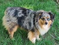 processed/70971c8a-e264-4474-a4c5-b5e36f3b150d/facility/f322cae2-90a5-41c7-83cc-eb8f69d84612