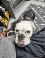 processed/70a32901-1227-4786-8f51-9b97f55350c8/listing/d27a853c-7e01-42d5-95d0-5619da464cf4/296a2595-d2d6-4031-a56a-764965b915fa