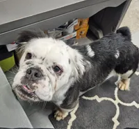 processed/70a32901-1227-4786-8f51-9b97f55350c8/listing/d27a853c-7e01-42d5-95d0-5619da464cf4/3e4147ad-edbf-466f-8dd4-a38384dff600