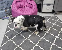 processed/70a32901-1227-4786-8f51-9b97f55350c8/listing/d27a853c-7e01-42d5-95d0-5619da464cf4/5c40ce70-3506-4402-a241-4a766c872c05