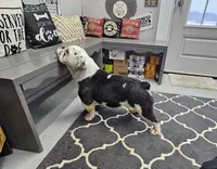 processed/70a32901-1227-4786-8f51-9b97f55350c8/listing/d27a853c-7e01-42d5-95d0-5619da464cf4/5dc332c4-cbf7-4028-9296-0d80dde95723