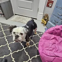 processed/70a32901-1227-4786-8f51-9b97f55350c8/listing/d27a853c-7e01-42d5-95d0-5619da464cf4/9082453e-3903-4c3b-bd38-89993bf0fb59