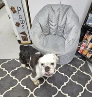 processed/70a32901-1227-4786-8f51-9b97f55350c8/listing/d27a853c-7e01-42d5-95d0-5619da464cf4/b98b3e03-6a26-4c3e-bafe-c7095f177b24