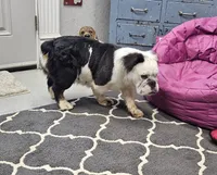 processed/70a32901-1227-4786-8f51-9b97f55350c8/listing/d27a853c-7e01-42d5-95d0-5619da464cf4/c9dd403e-50bb-41bc-a1bf-a65b0f68a985