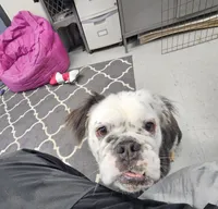 processed/70a32901-1227-4786-8f51-9b97f55350c8/listing/d27a853c-7e01-42d5-95d0-5619da464cf4/d8e86045-a2f0-4cbd-8c8c-840a1cfc52a7