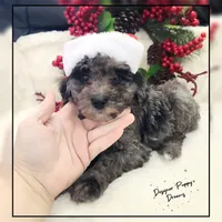 processed/70a5c4ea-420b-4533-afdf-9ed9f6486a01/listing/4271c158-9a80-4fa1-af4f-11c2c0125546/06c0ebfe-4b8a-4e68-89fe-dbfbf690925e