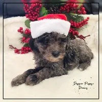 processed/70a5c4ea-420b-4533-afdf-9ed9f6486a01/listing/4271c158-9a80-4fa1-af4f-11c2c0125546/2dbedcc3-a7b9-43c9-bb8f-ec31c3f30e2d