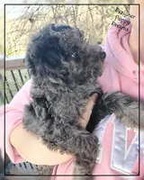 processed/70a5c4ea-420b-4533-afdf-9ed9f6486a01/listing/4271c158-9a80-4fa1-af4f-11c2c0125546/3fbd90fc-5092-4aee-b9f9-2a61376d3912