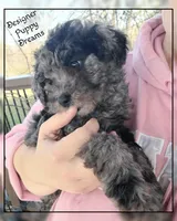 processed/70a5c4ea-420b-4533-afdf-9ed9f6486a01/listing/4271c158-9a80-4fa1-af4f-11c2c0125546/47b61561-3dad-4300-a330-778c05f48d61