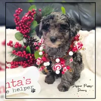 processed/70a5c4ea-420b-4533-afdf-9ed9f6486a01/listing/4271c158-9a80-4fa1-af4f-11c2c0125546/94a500cb-d8f1-4202-b37d-cfaf16a8213c