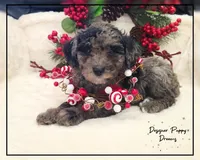 processed/70a5c4ea-420b-4533-afdf-9ed9f6486a01/listing/4271c158-9a80-4fa1-af4f-11c2c0125546/d6a29c48-8e8a-4d1f-ac4a-d83f6eeee629