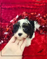 processed/70a5c4ea-420b-4533-afdf-9ed9f6486a01/listing/ab869089-aebf-4ebf-abaa-4233589b8f40/06730dda-f3ea-4071-bc0b-091cea194c29