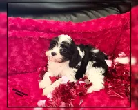 processed/70a5c4ea-420b-4533-afdf-9ed9f6486a01/listing/ab869089-aebf-4ebf-abaa-4233589b8f40/421987e7-6937-444c-adce-08b2155ce345