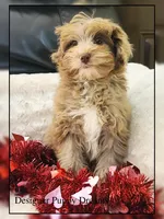 processed/70a5c4ea-420b-4533-afdf-9ed9f6486a01/listing/fd2dc98e-0e79-4937-889a-f27e67c20ae8/48d34057-2741-474f-8781-7834262cae6a