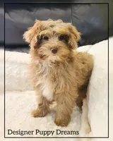 processed/70a5c4ea-420b-4533-afdf-9ed9f6486a01/listing/fd2dc98e-0e79-4937-889a-f27e67c20ae8/4ac5f323-ef80-4f92-b9e9-fde068dfa523