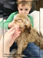 processed/70a5c4ea-420b-4533-afdf-9ed9f6486a01/listing/fd2dc98e-0e79-4937-889a-f27e67c20ae8/4dc58175-5db2-4fcd-b74e-f61eda6600bd