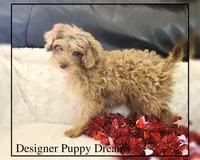 processed/70a5c4ea-420b-4533-afdf-9ed9f6486a01/listing/fd2dc98e-0e79-4937-889a-f27e67c20ae8/9379cd35-ca14-46b2-88e9-bdcd9d11242f