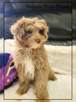 processed/70a5c4ea-420b-4533-afdf-9ed9f6486a01/listing/fd2dc98e-0e79-4937-889a-f27e67c20ae8/a026a969-9980-40b1-bc8e-8100a43915a9