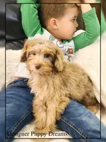 processed/70a5c4ea-420b-4533-afdf-9ed9f6486a01/listing/fd2dc98e-0e79-4937-889a-f27e67c20ae8/df0387e2-bda1-4bce-b01a-4f226c2059dc