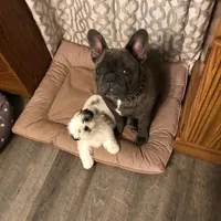 processed/70a8cbdc-67a6-4485-be90-3cbfa12c42fd/facility/233ee9a1-b319-4960-9b3c-37f7553d9311