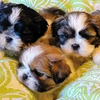 processed/70a8cbdc-67a6-4485-be90-3cbfa12c42fd/facility/2b2b2418-d84d-4a1d-9a9c-dfa328461c31