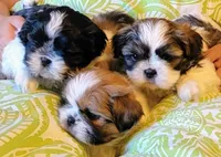 processed/70a8cbdc-67a6-4485-be90-3cbfa12c42fd/facility/2b2b2418-d84d-4a1d-9a9c-dfa328461c31