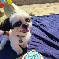 processed/70a8cbdc-67a6-4485-be90-3cbfa12c42fd/facility/8ea116a2-f250-413e-9dde-e5988a05b719