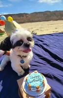 processed/70a8cbdc-67a6-4485-be90-3cbfa12c42fd/facility/8ea116a2-f250-413e-9dde-e5988a05b719