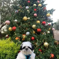 processed/70a8cbdc-67a6-4485-be90-3cbfa12c42fd/facility/cdde9626-3f1d-4e61-b1e1-cae45906a693