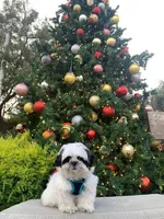 processed/70a8cbdc-67a6-4485-be90-3cbfa12c42fd/facility/cdde9626-3f1d-4e61-b1e1-cae45906a693