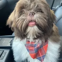 processed/70a8cbdc-67a6-4485-be90-3cbfa12c42fd/facility/e9774547-ed61-433b-b626-592ca1878c54