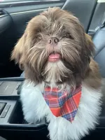 processed/70a8cbdc-67a6-4485-be90-3cbfa12c42fd/facility/e9774547-ed61-433b-b626-592ca1878c54