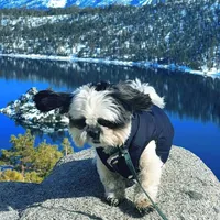 processed/70a8cbdc-67a6-4485-be90-3cbfa12c42fd/facility/fe1dadb7-6da7-442a-a3d1-625d585374ac