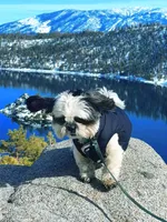 processed/70a8cbdc-67a6-4485-be90-3cbfa12c42fd/facility/fe1dadb7-6da7-442a-a3d1-625d585374ac