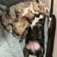 processed/70aee402-0e2b-458a-bc55-a91b629a9101/facility/1c127c87-39a3-472d-b134-6fcb1f854fae