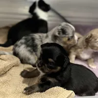 processed/70aee402-0e2b-458a-bc55-a91b629a9101/facility/1cec46fb-1632-4311-a9e7-dff09b7f3e50