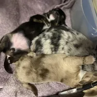 processed/70aee402-0e2b-458a-bc55-a91b629a9101/facility/7b6fdf69-bad9-4196-b02f-0a323ad32859