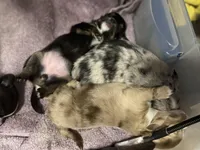 processed/70aee402-0e2b-458a-bc55-a91b629a9101/facility/7b6fdf69-bad9-4196-b02f-0a323ad32859