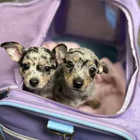 processed/70aee402-0e2b-458a-bc55-a91b629a9101/facility/871a32ed-693a-4220-9029-bb9c11857072