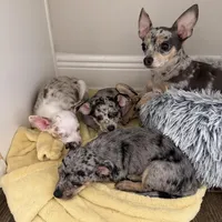 processed/70aee402-0e2b-458a-bc55-a91b629a9101/facility/e5d2feb6-474e-497f-9a8f-d1bdc92fe83a