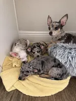 processed/70aee402-0e2b-458a-bc55-a91b629a9101/facility/e5d2feb6-474e-497f-9a8f-d1bdc92fe83a