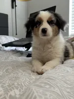 processed/70b6af41-076b-48af-b6ea-d2a8c55da50a/listing/a1812cc0-be03-4811-a940-366774c80ec4/8b141c40-f745-40f9-b3d5-0d1128175ee7